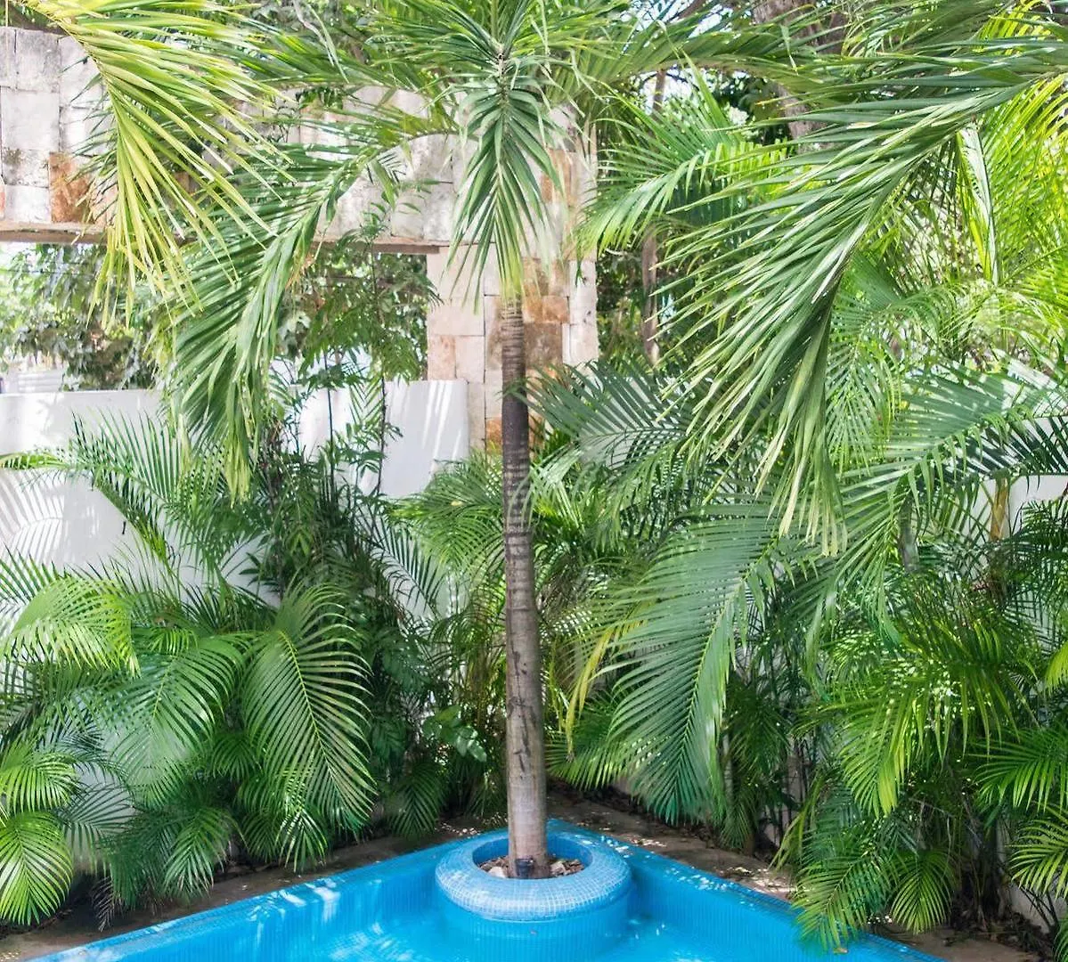 Aparthotel Nasim Condo Hotel Con Acceso Beach Club Gratis, Metros 5Th Avenida Playa del Carmen